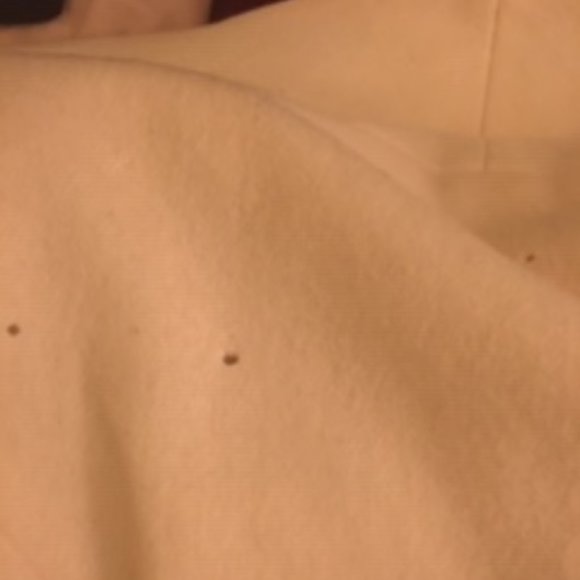 81st and Park Wool Ivory Bolero Jacket - Picture 6 of 10